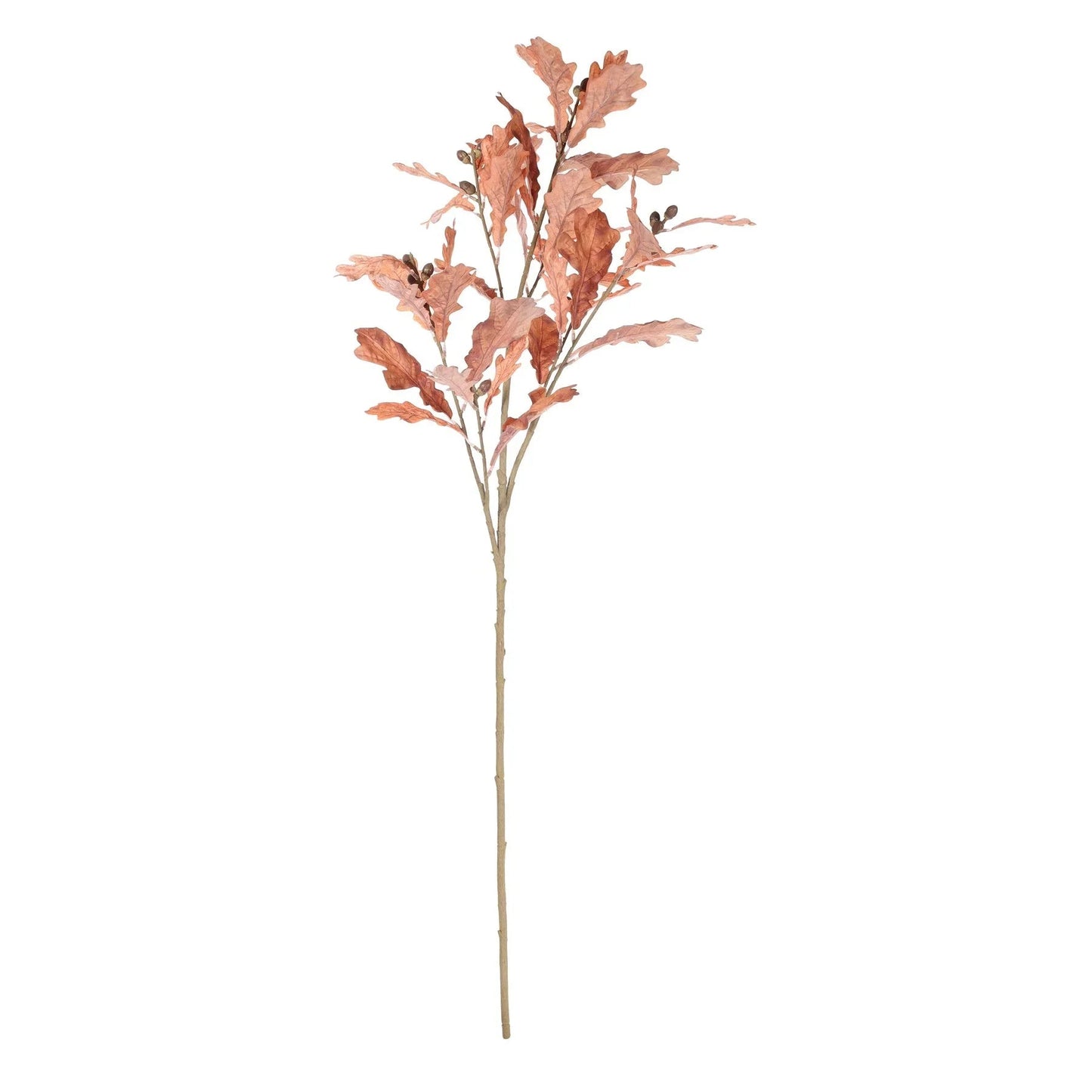 Brown Glamis Oak Leaf (104cm)