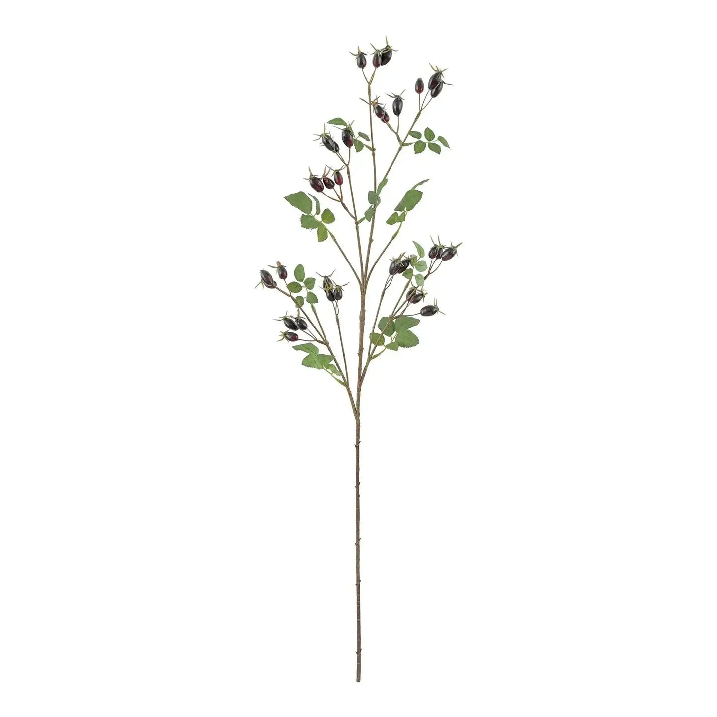 Dark Purple Rose Hip Spray (95cm)