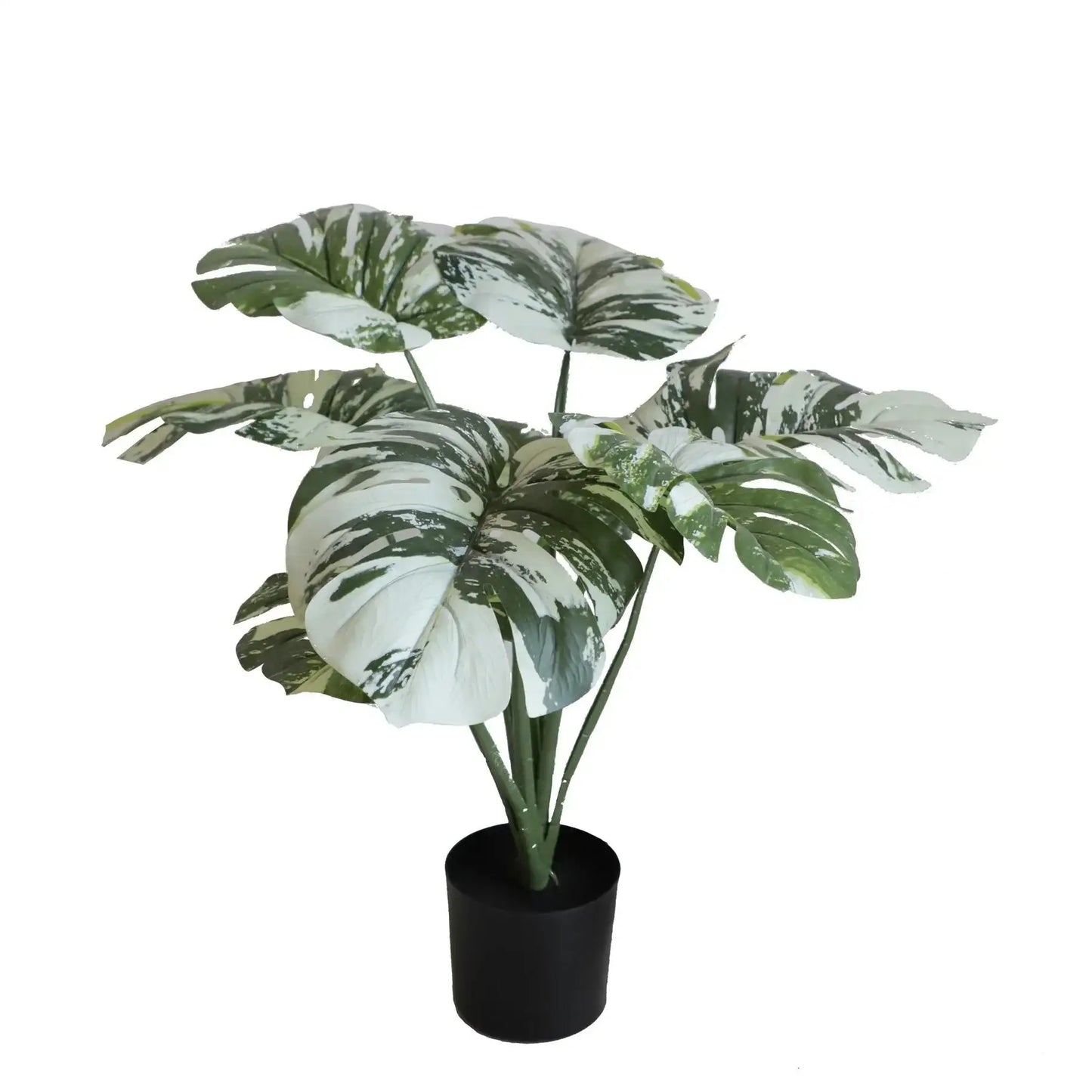 Potted artificial variegated monstera plant with green and white leaves for home décor