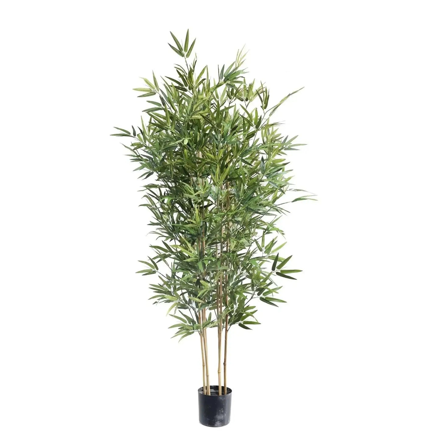 Artificial Bamboo Tree (210cm) - Bristow Direct