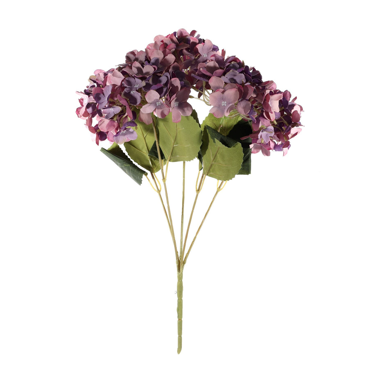 Discover the Essential Purple Hydrangea Bush (36cm) at Bristow Direct