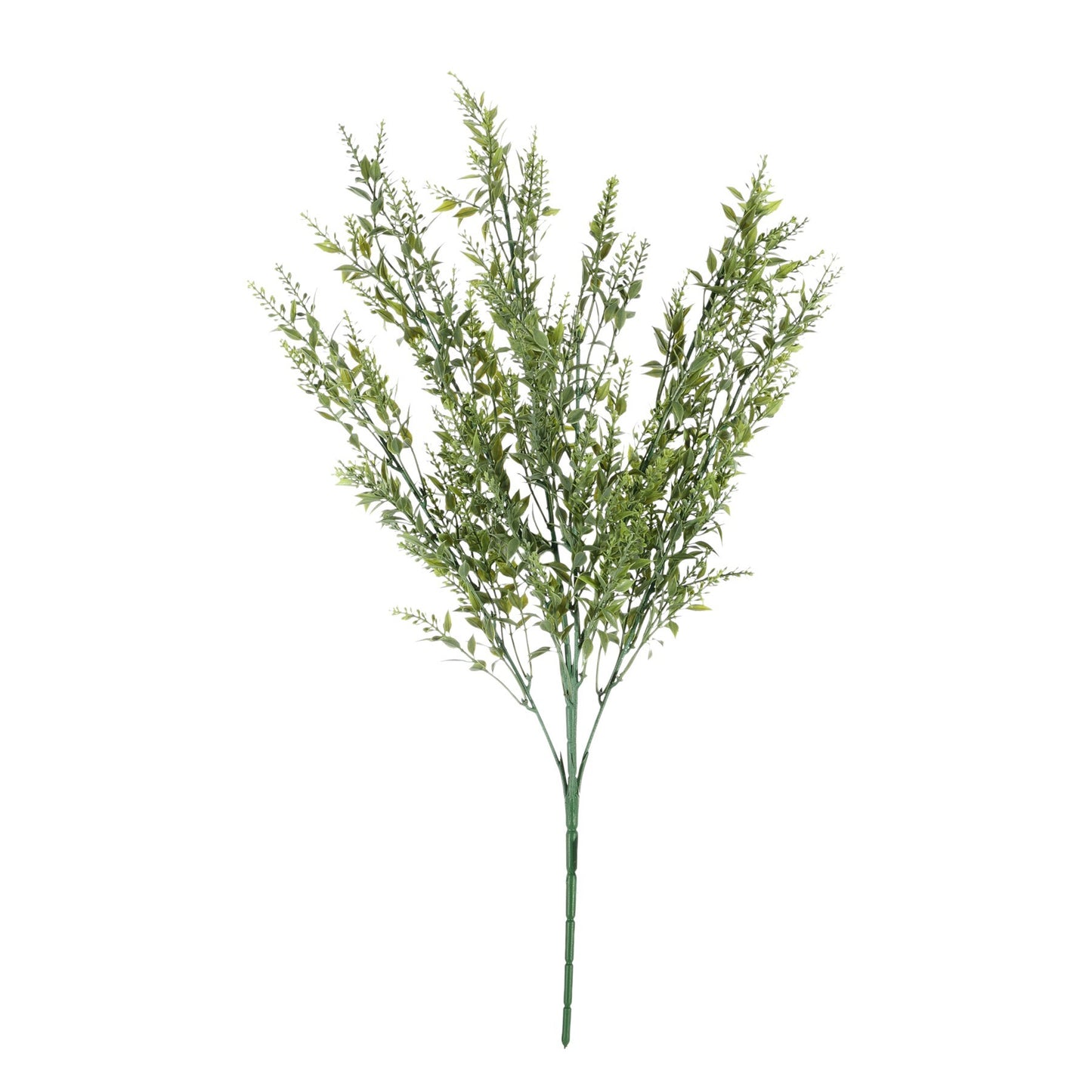 Discover the Essential Green Mini Ruscus Bush at Bristow Direct