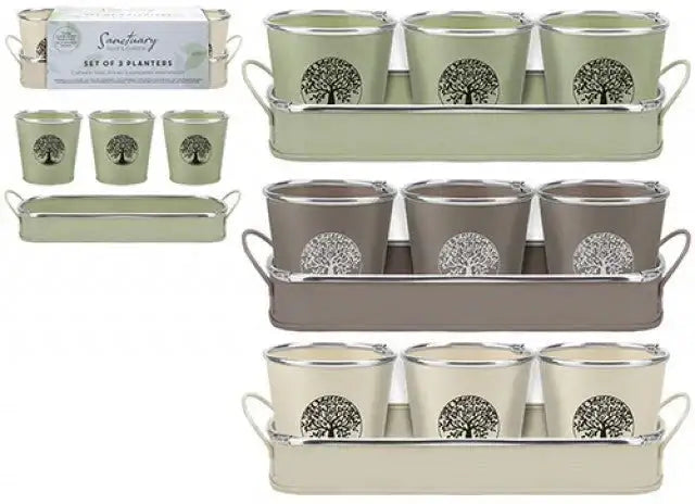 Tree Of Life Pack of 3 Planters and Tray (Assorted)