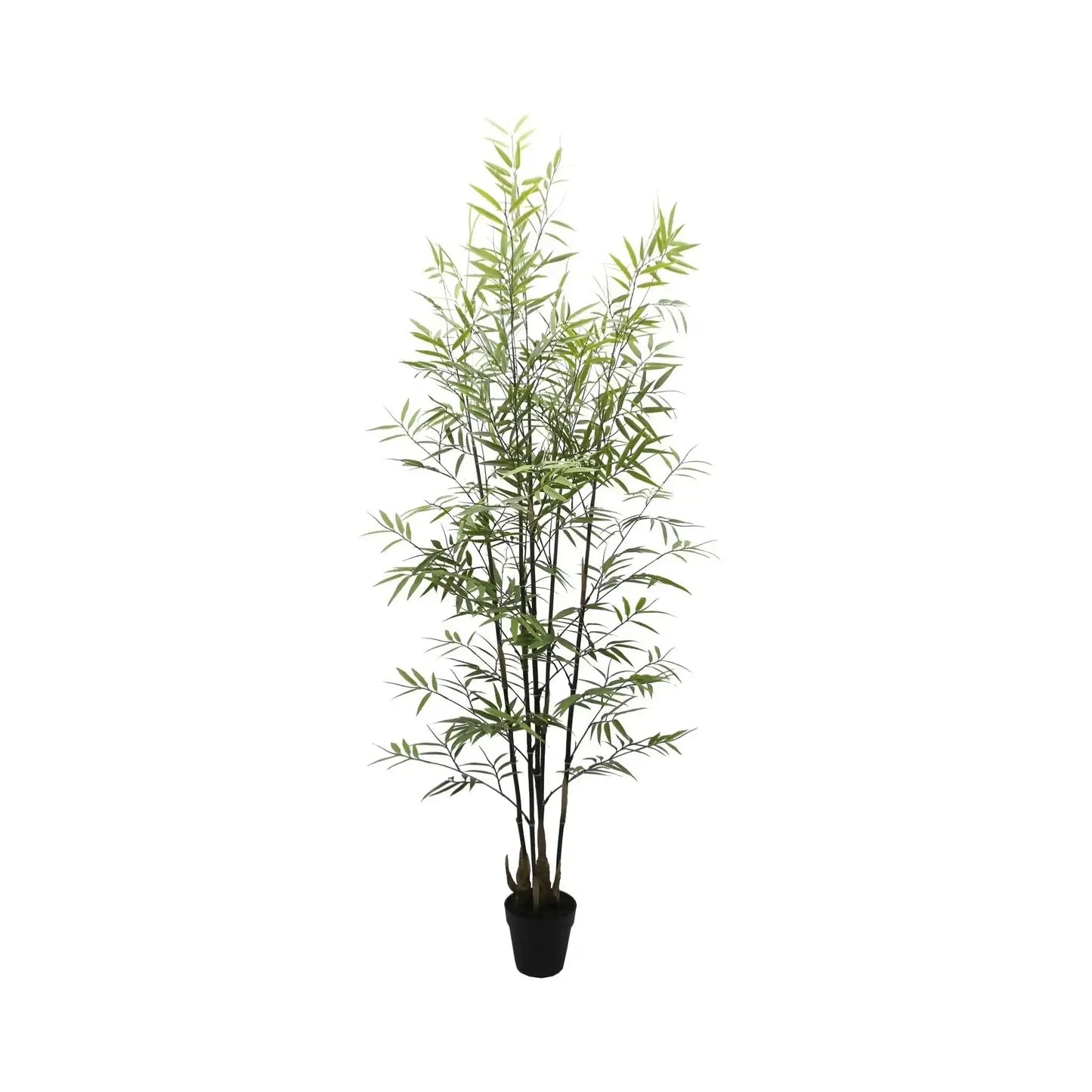 UV Botanica Bamboo Plant (152cm)