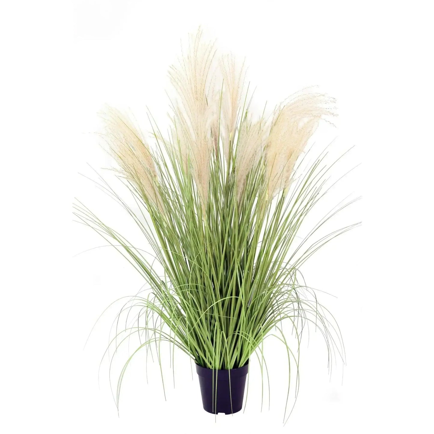 Artificial pampas grass plant in black pot for home decor, featuring feathery beige plumes