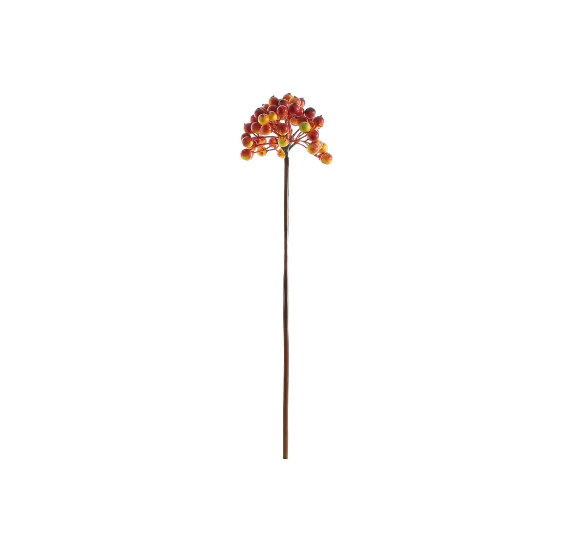 Glamis Orange Berry Pick (36cm)