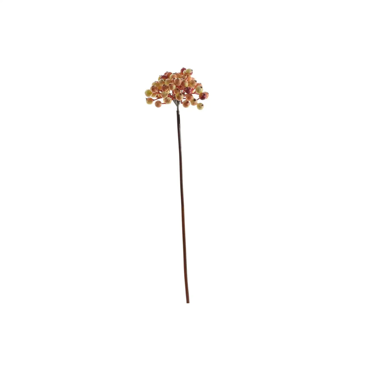 Glamis Yellow Berry Pick (36cm)