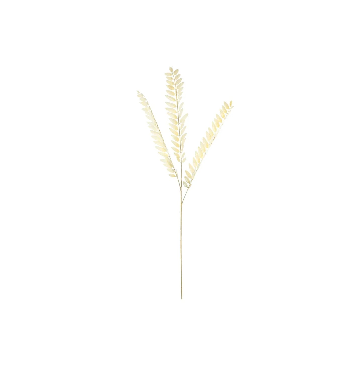 Essential Dry Look Bleached Fern Spray (78cm)