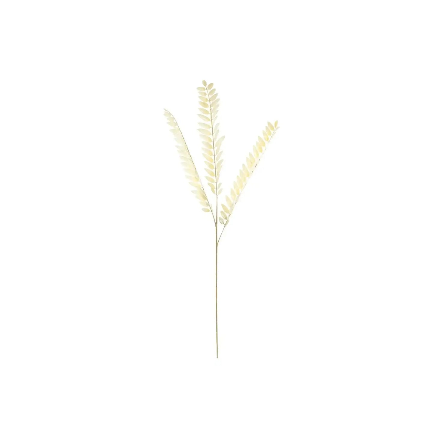 Essential Dry Look Bleached Fern Spray (78cm)