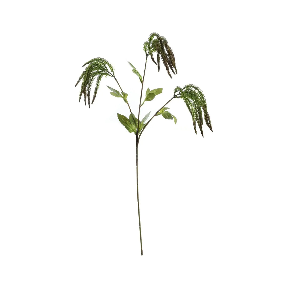 Essential Green Catkin Spray (76cm)