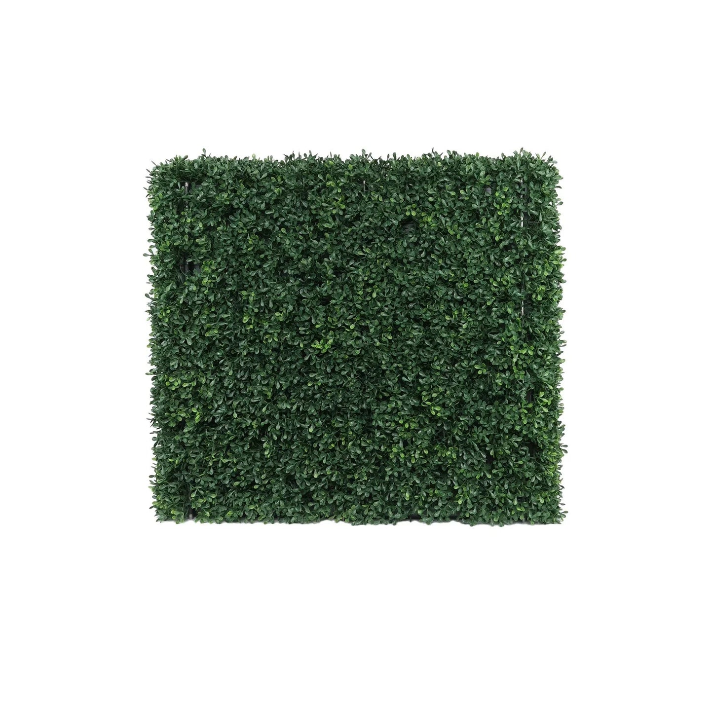 UV Botanica Hedge (66 x 62cm)