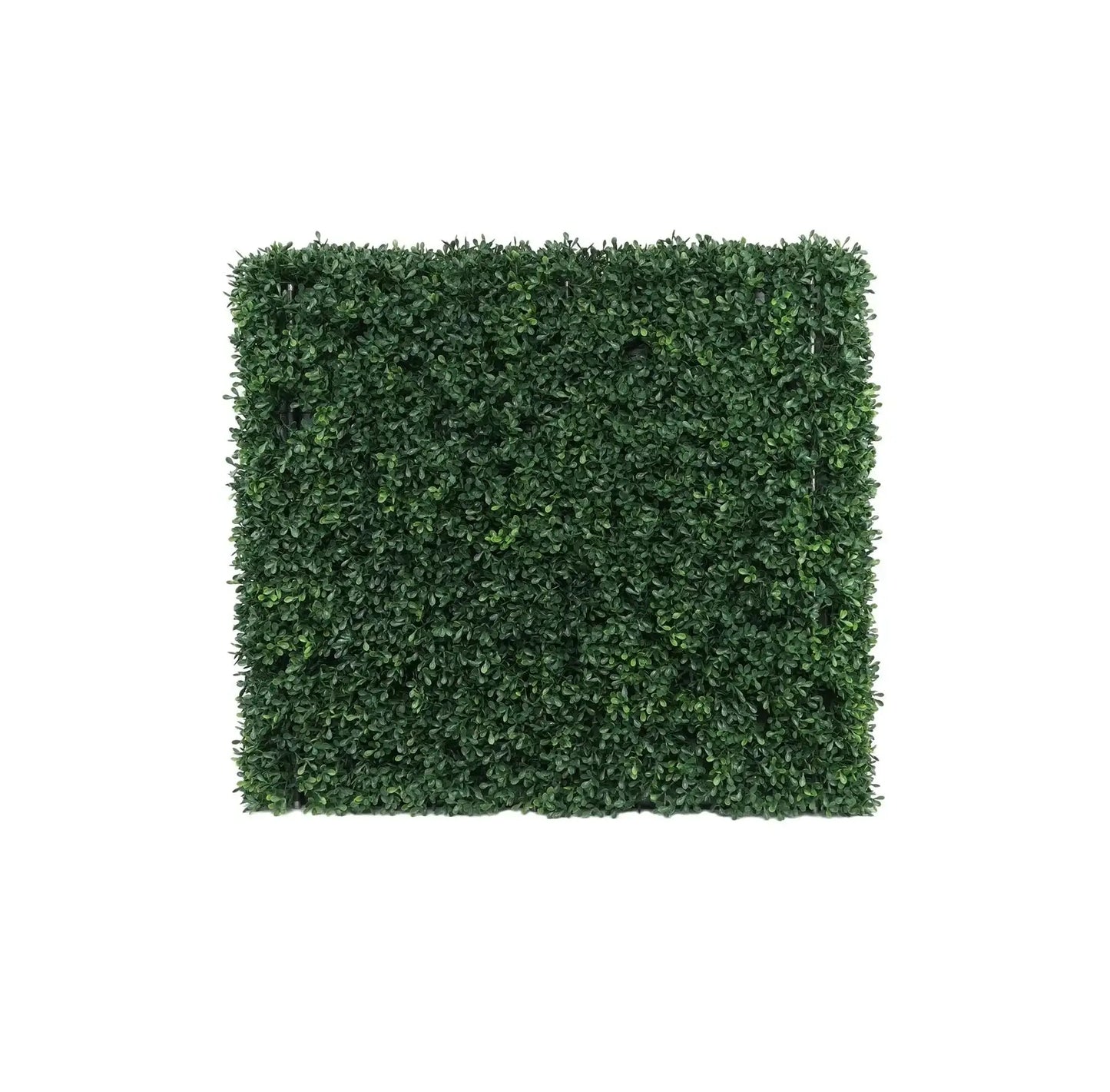 UV Botanica Hedge (66 x 62cm)