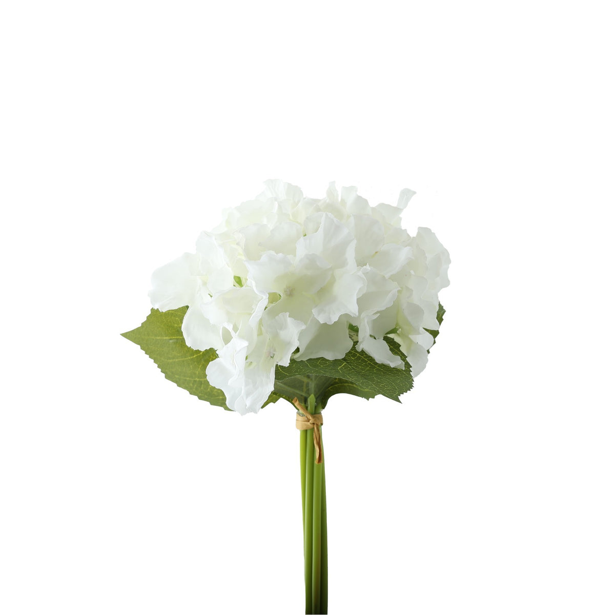 Discover the Essential White Hydrangea Bouquet at Bristow Direct