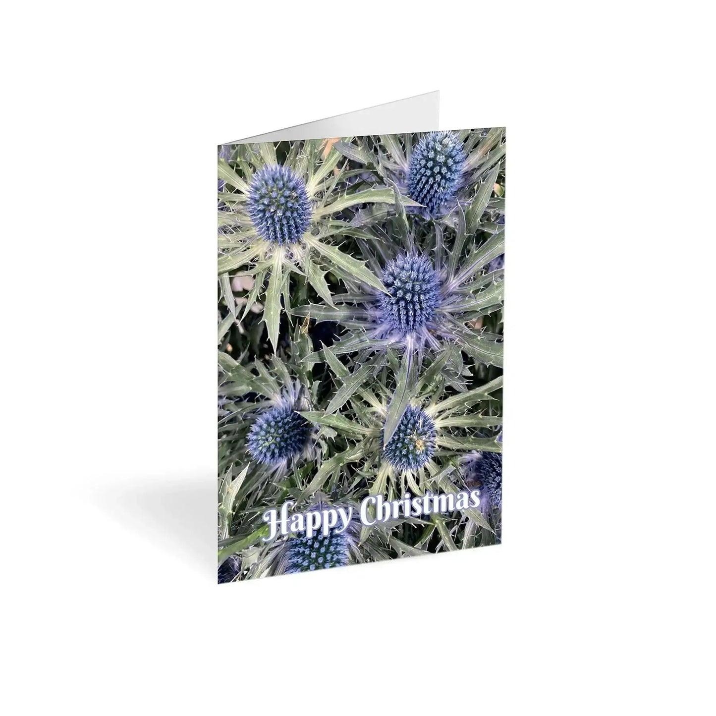 Christmas Blue Sea Holly Folded Card (Pack of 25)