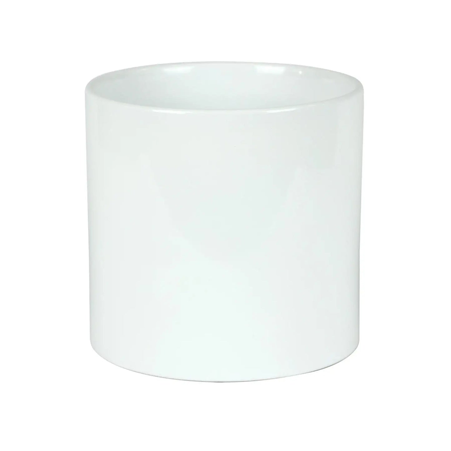 Hortus Sofia Glossy White Ceramic Pot (17cm)