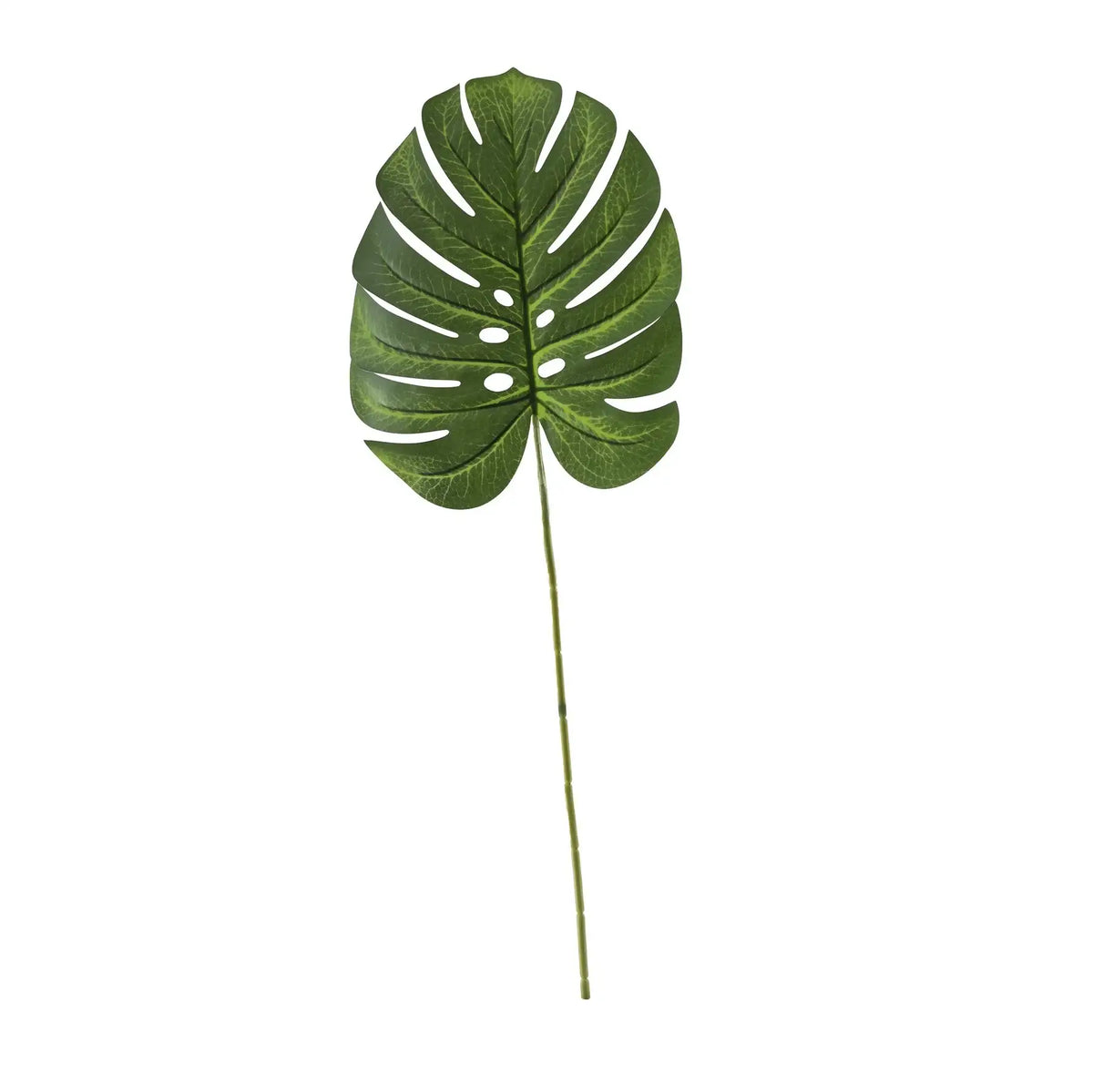 Essential Green Variegated Medium Monstera Leaf (71 cm)