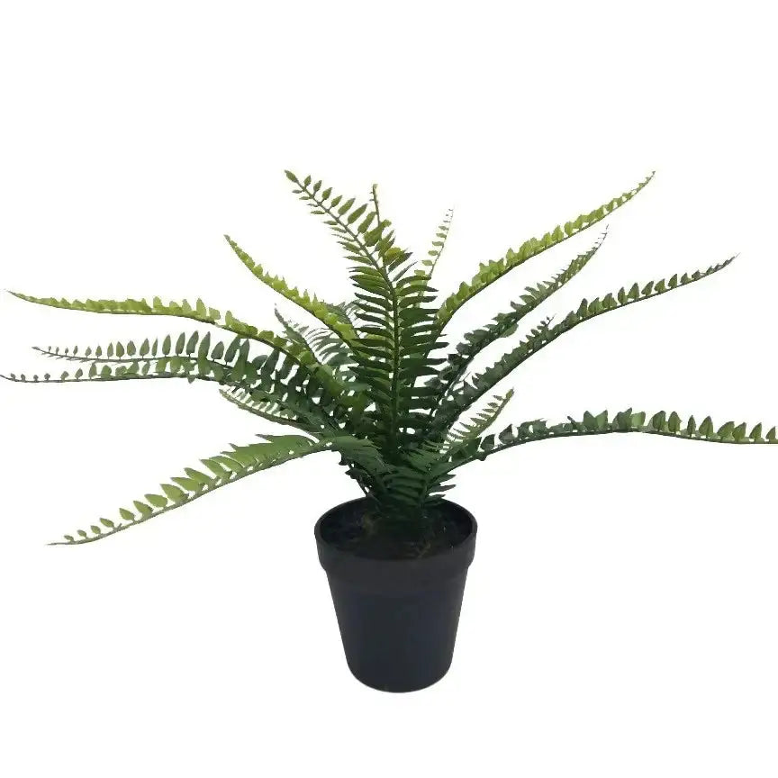 Botanica Fern Plant (35cm)