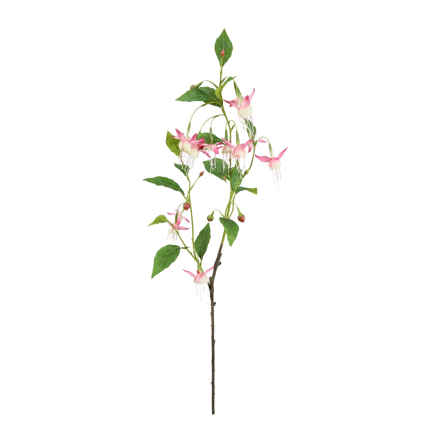 Botanica Hot Pink Fuchsia (99cm)