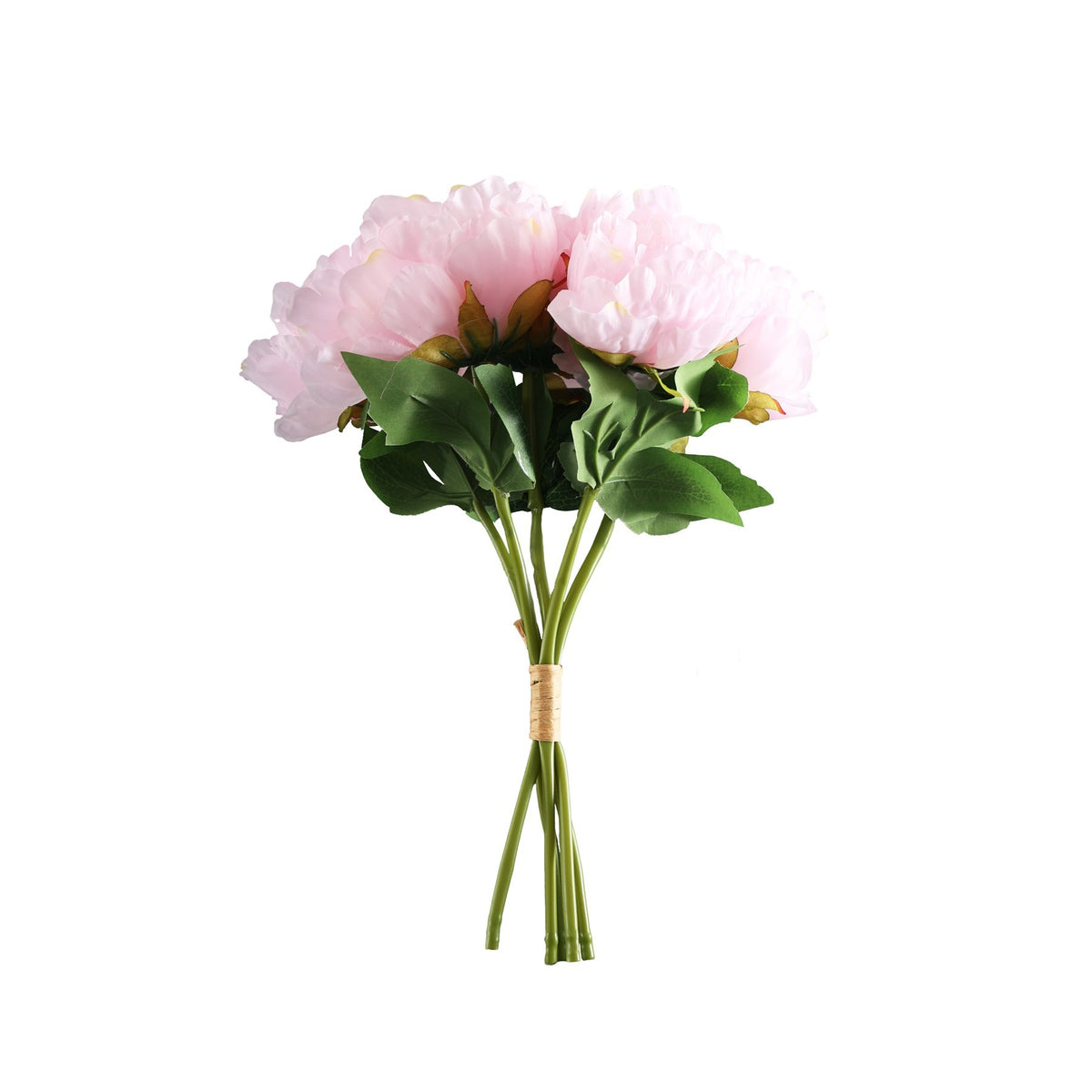 Discover the Essential Pink Peony Bouquet at Bristow Direct