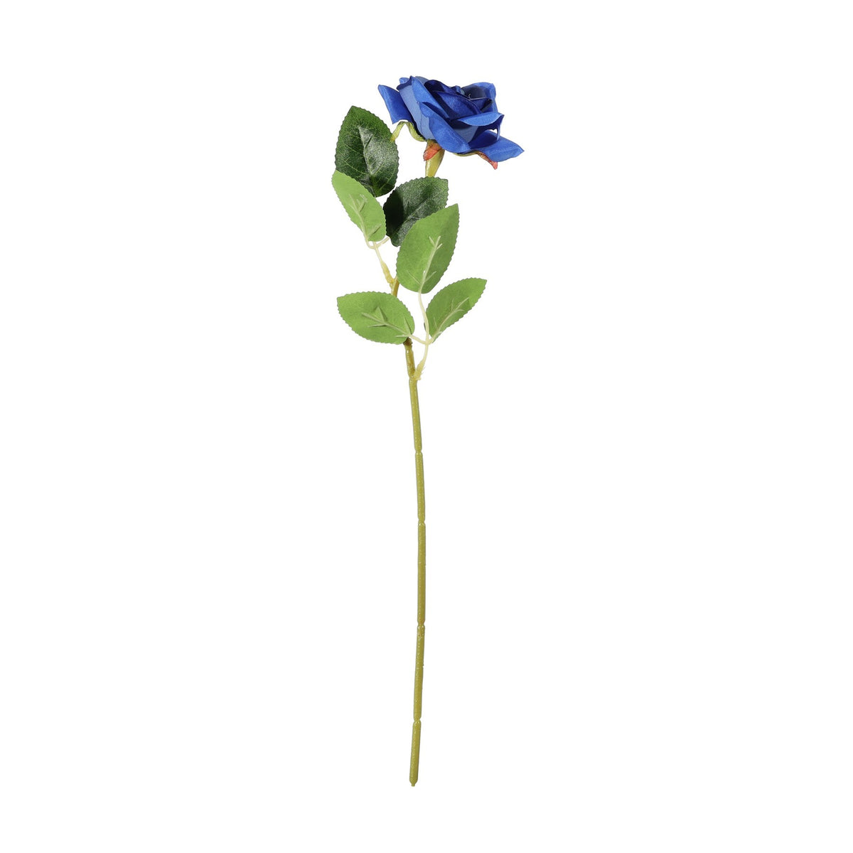 Discover the Essential Blue Rose at Bristow Direct