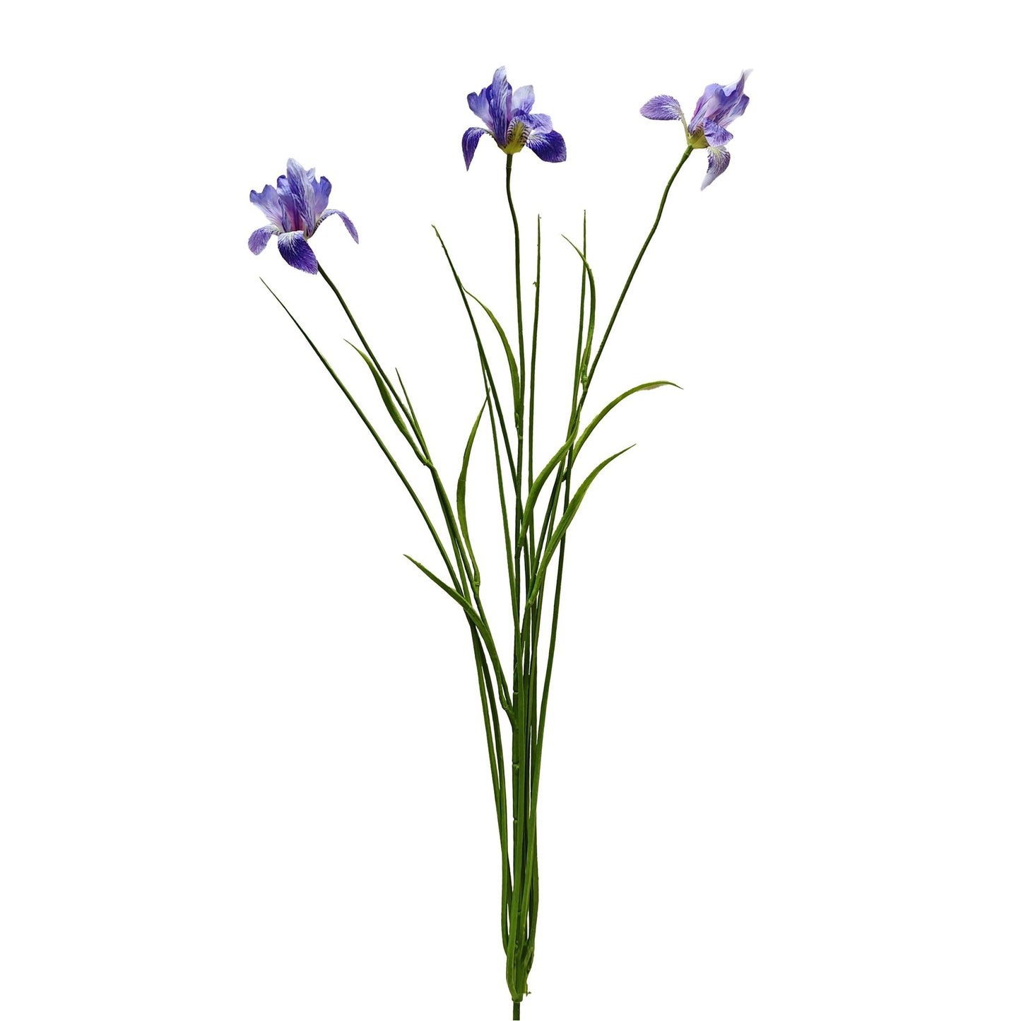Botanica Lilac White Iris
