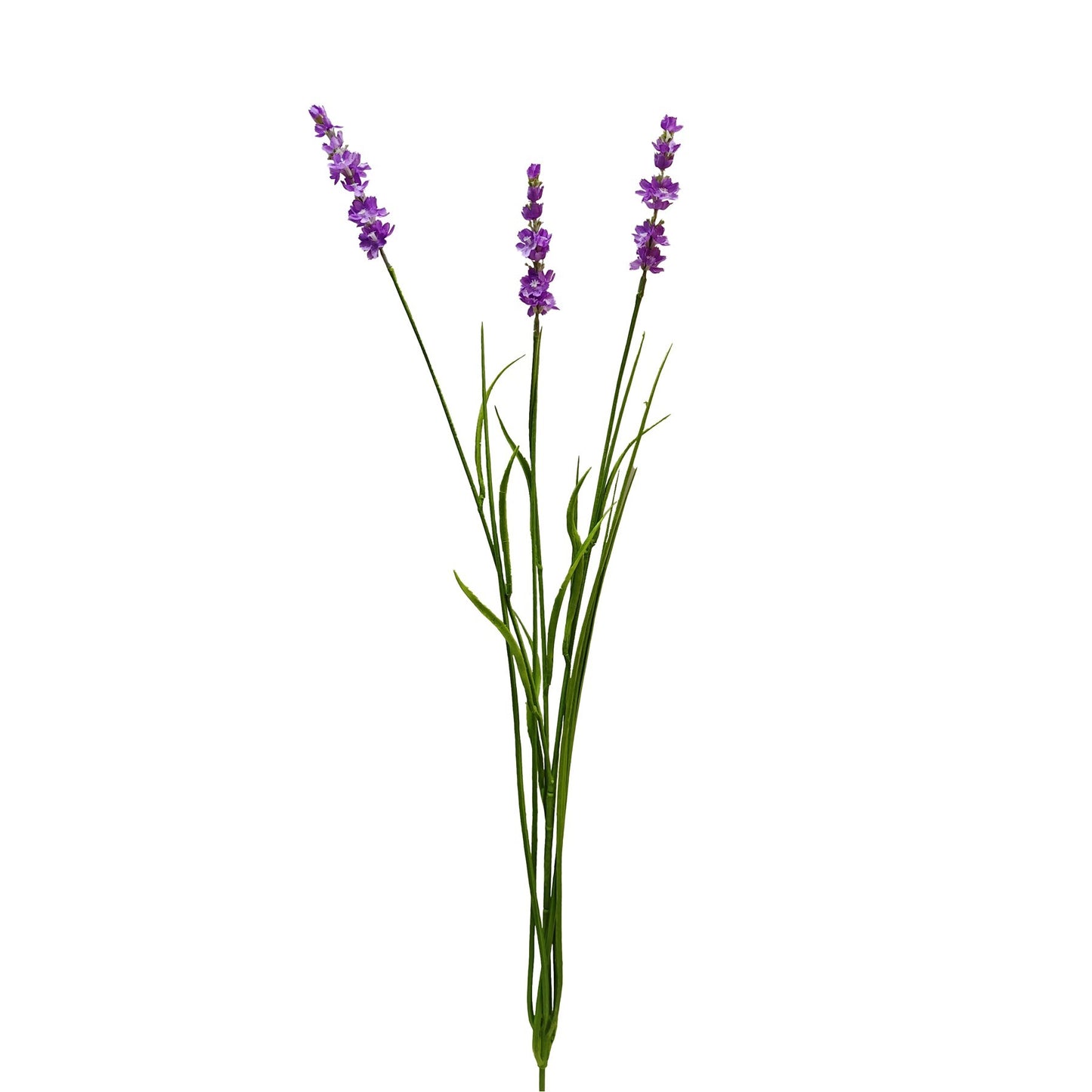 Botanica Pink Lavender