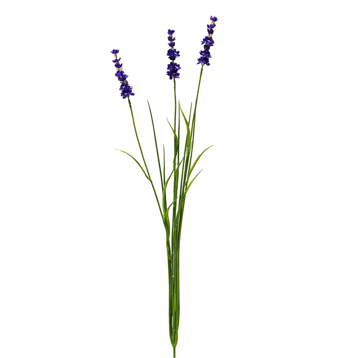 Botanica Purple Lavender