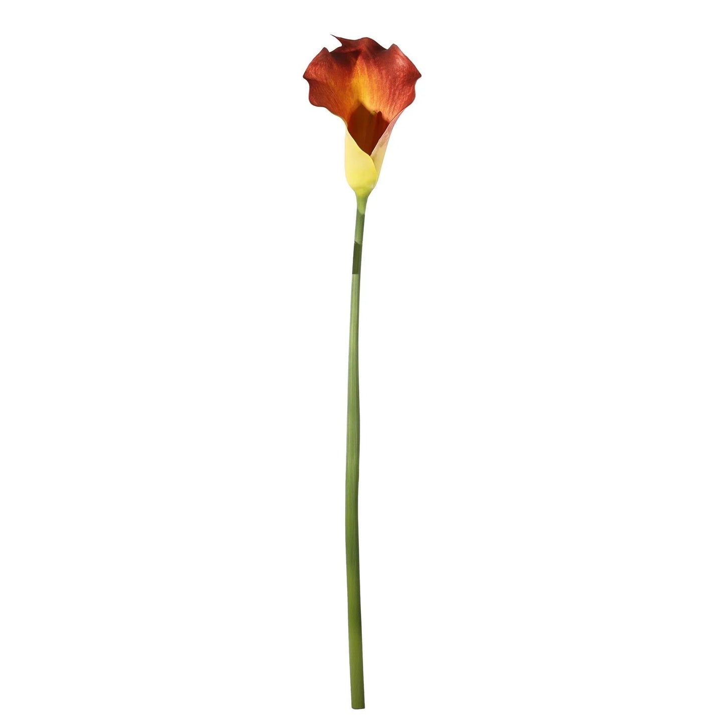 Botanica Large Mango Calla Lily (82cm)