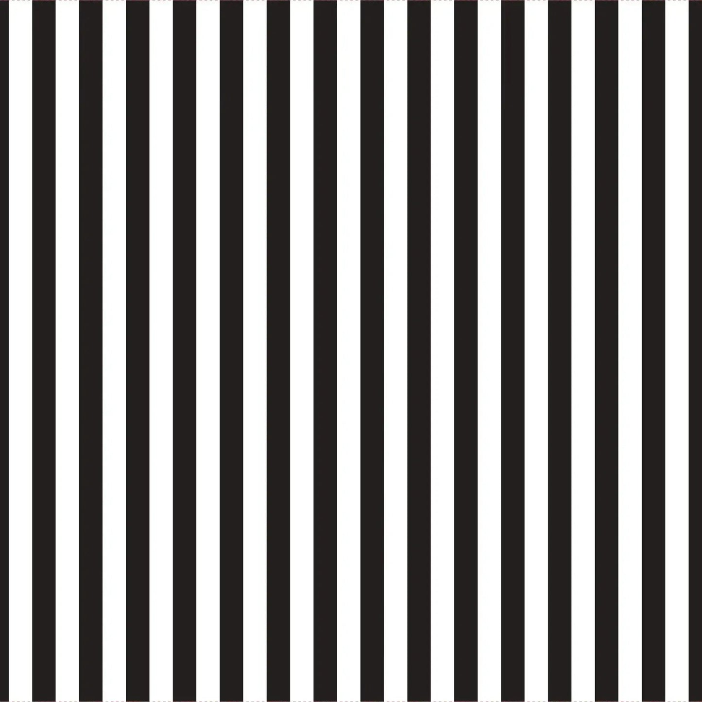 Clear Black Stripe Cello Wrap (80cm x 50m)