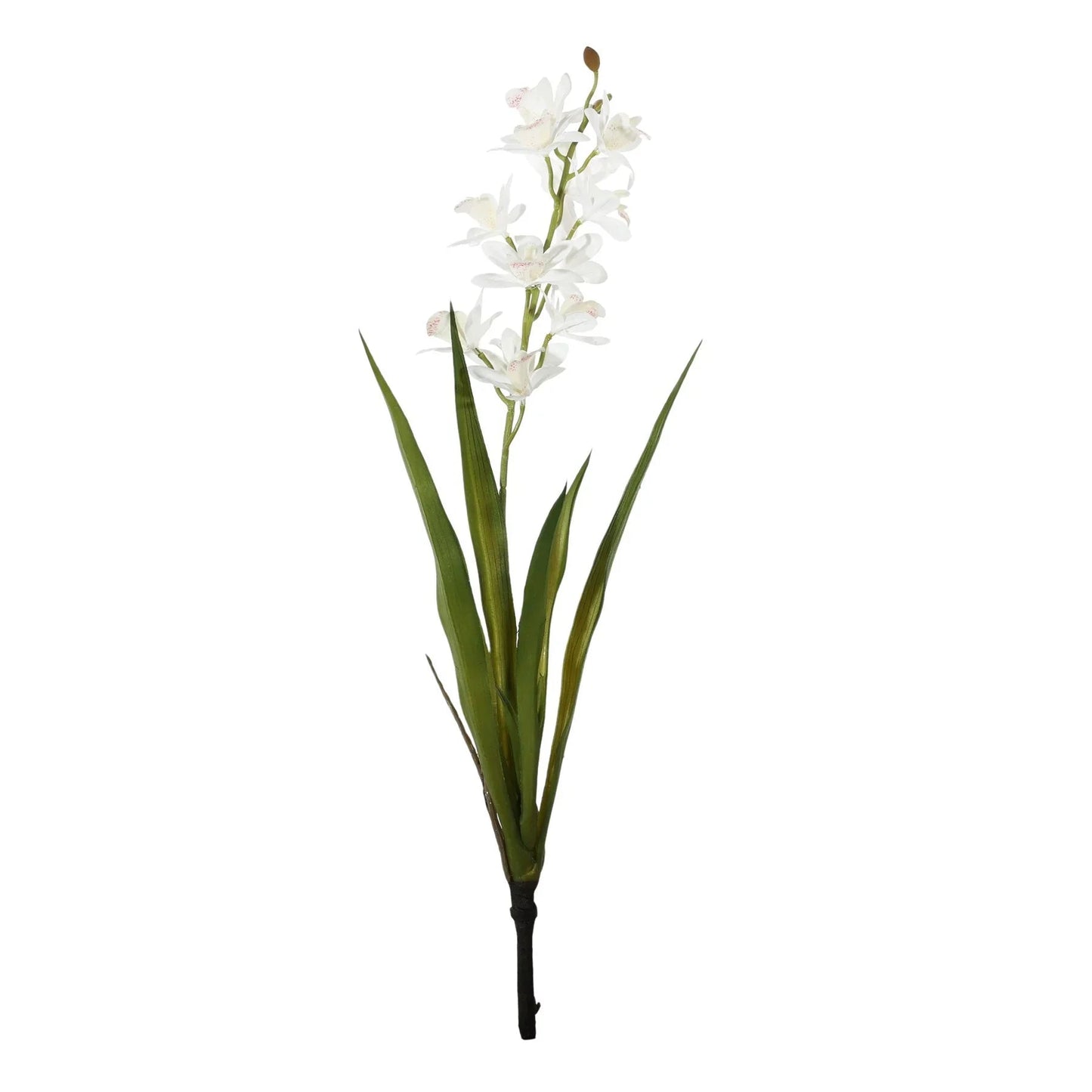 Botanica Mini White Cymbidium Plant (45cm)