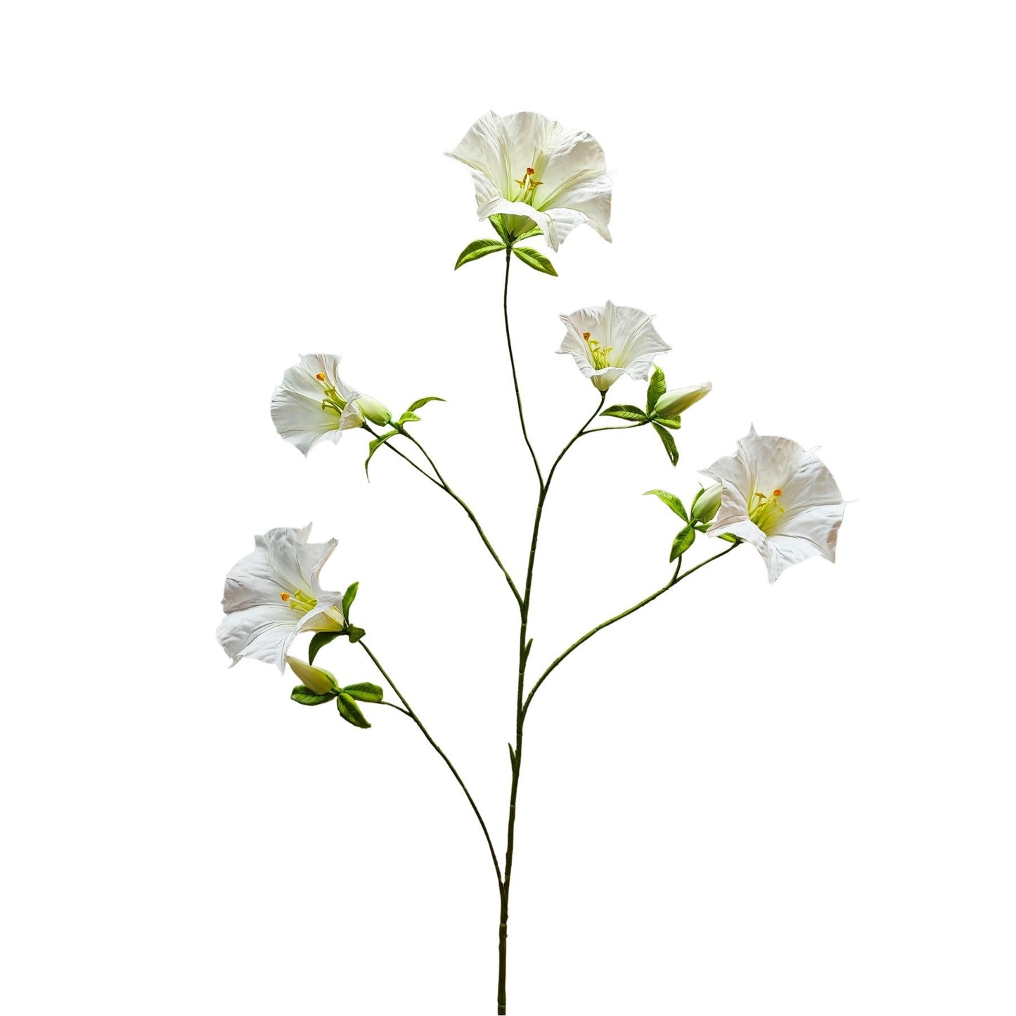 Botanica Cream Sundaville (113cm)