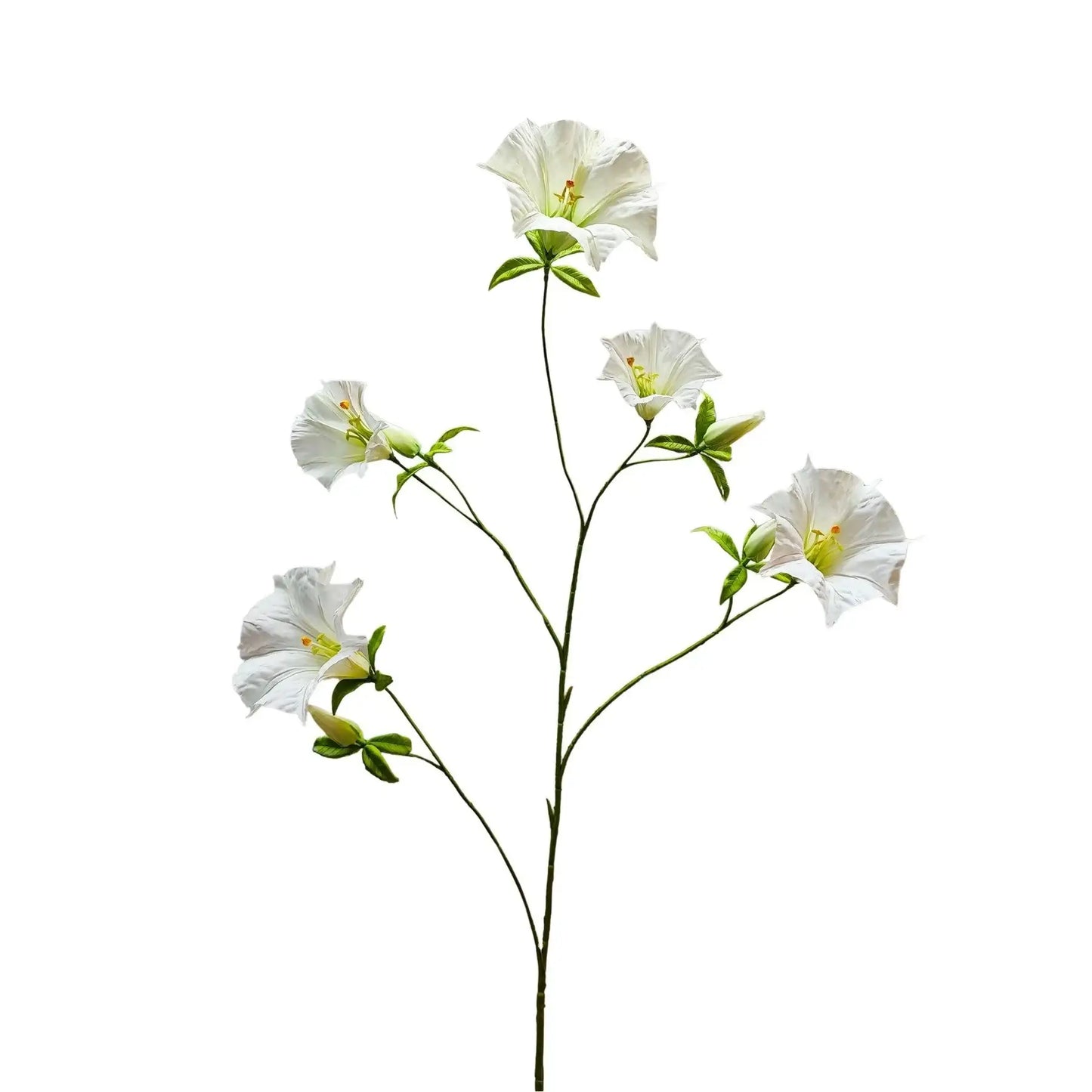 Botanica Cream Sundaville (113cm)