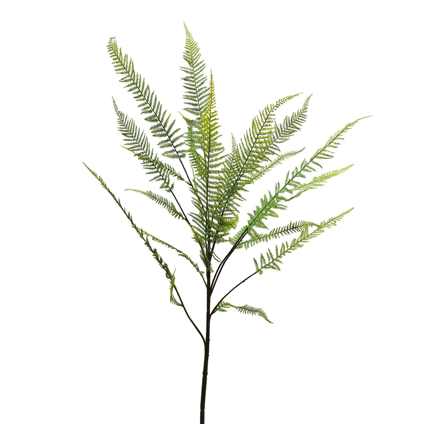 Botanica Fern Leaf Branch (162cm)