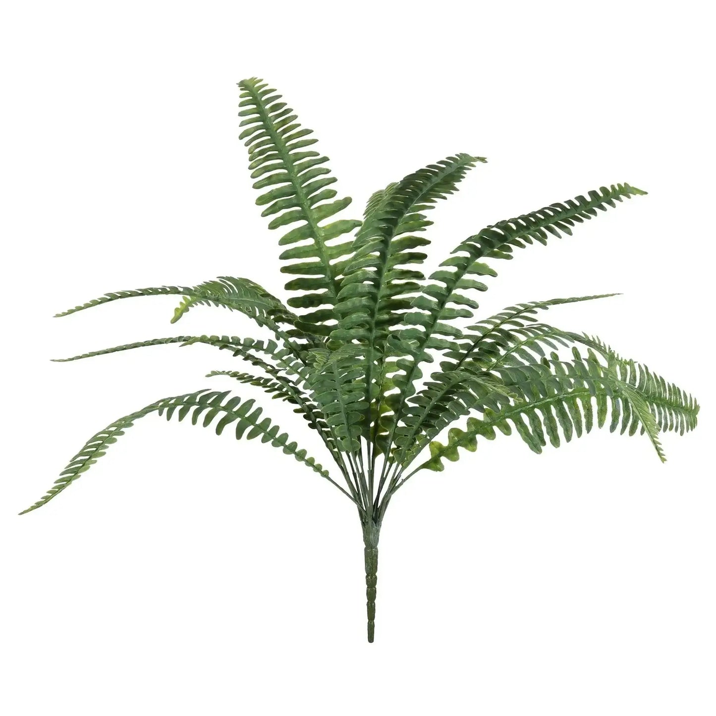 UV Boston Fern Bush (48cm)