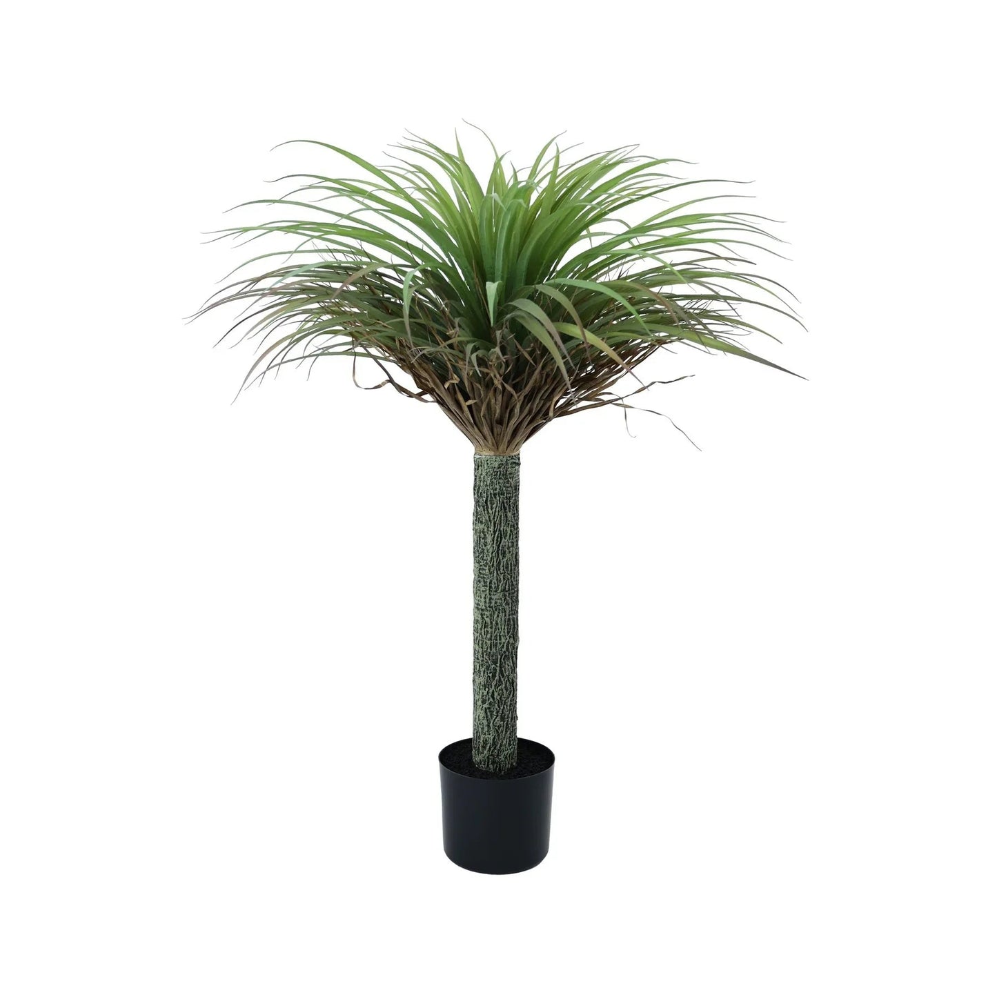 Botanica Yucca Tree in Pot (105cm)