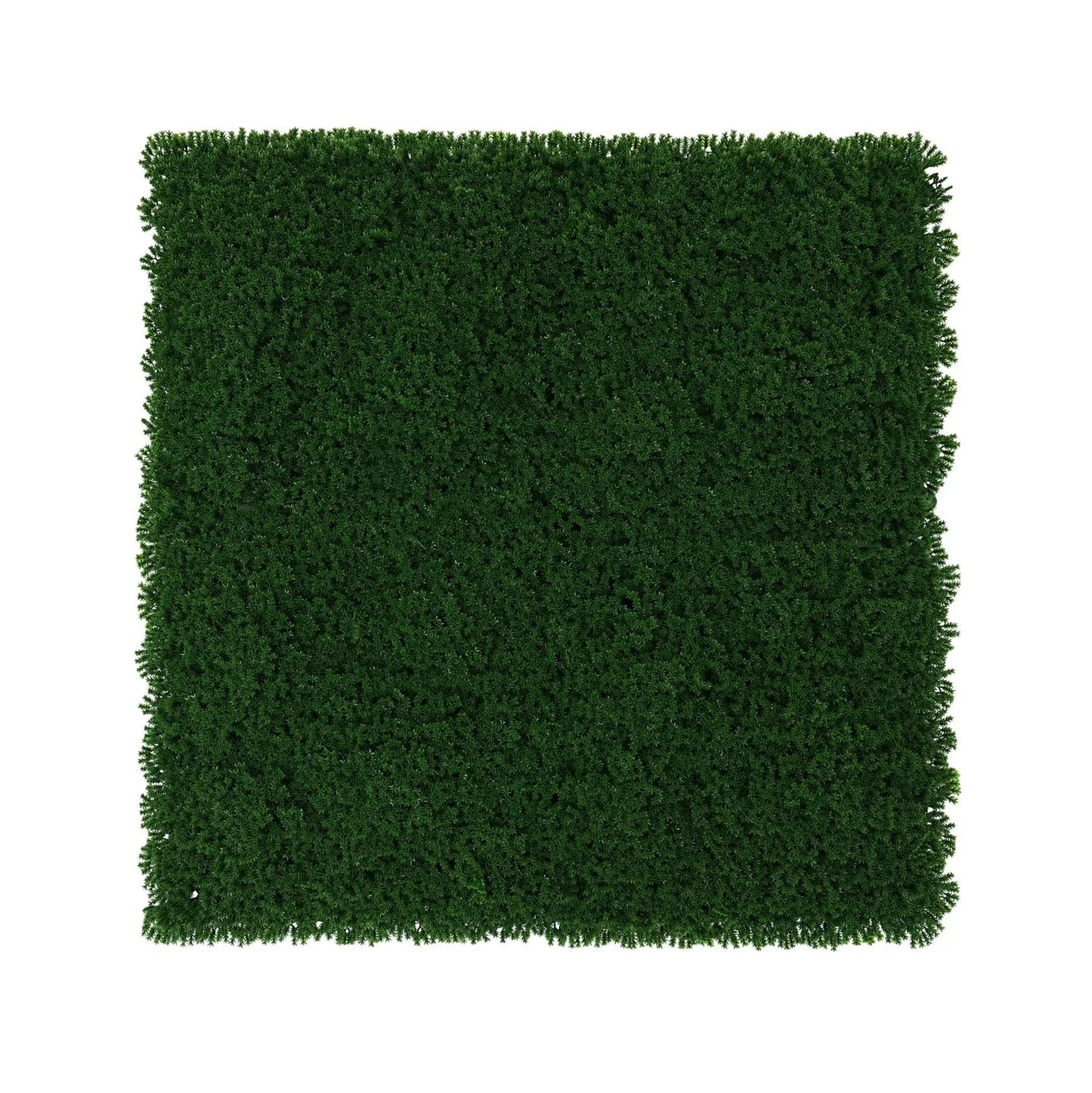 Dark Green Exterior Moss Wall (50x50cm)