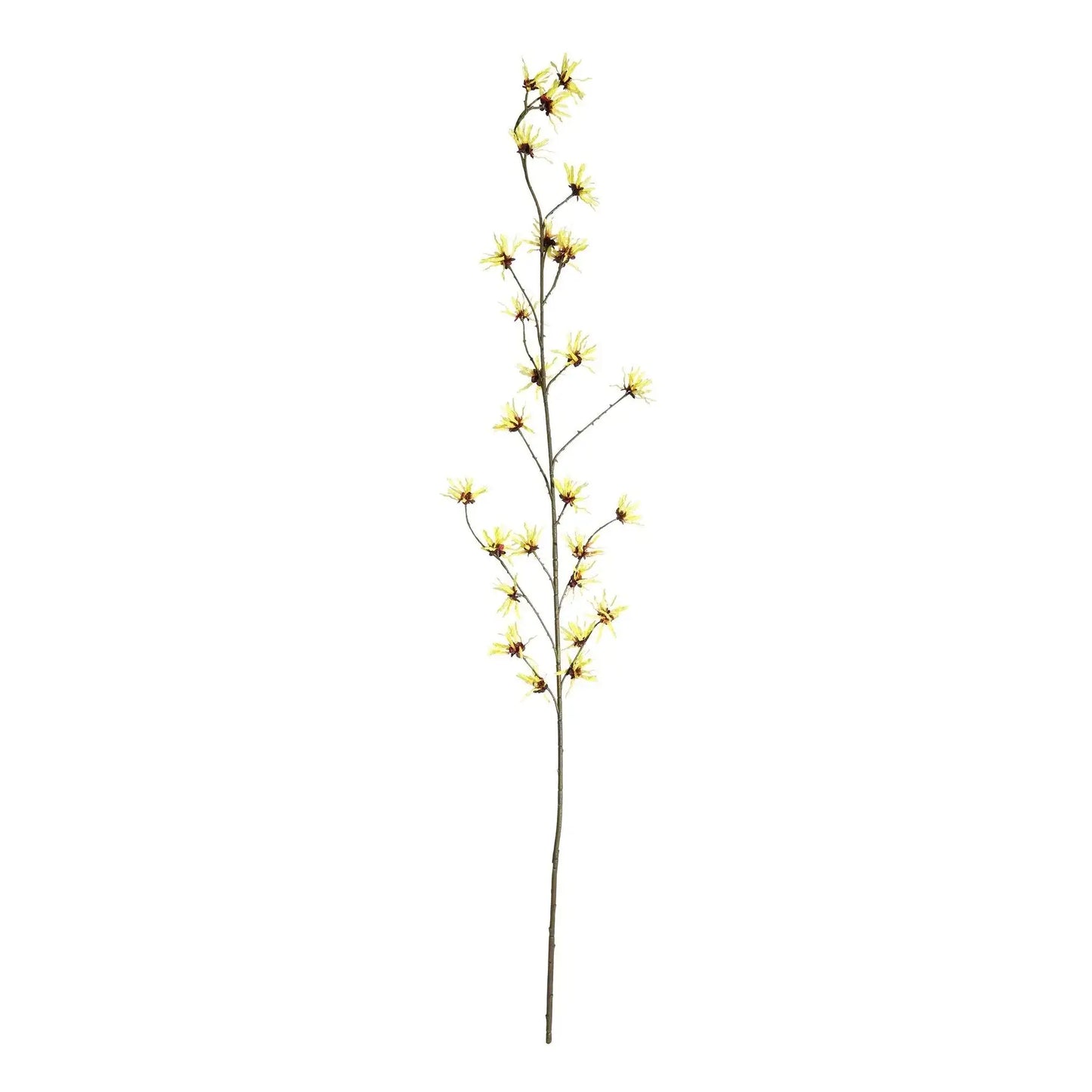 Botanica Yellow Hamamelis Branch (153cm)
