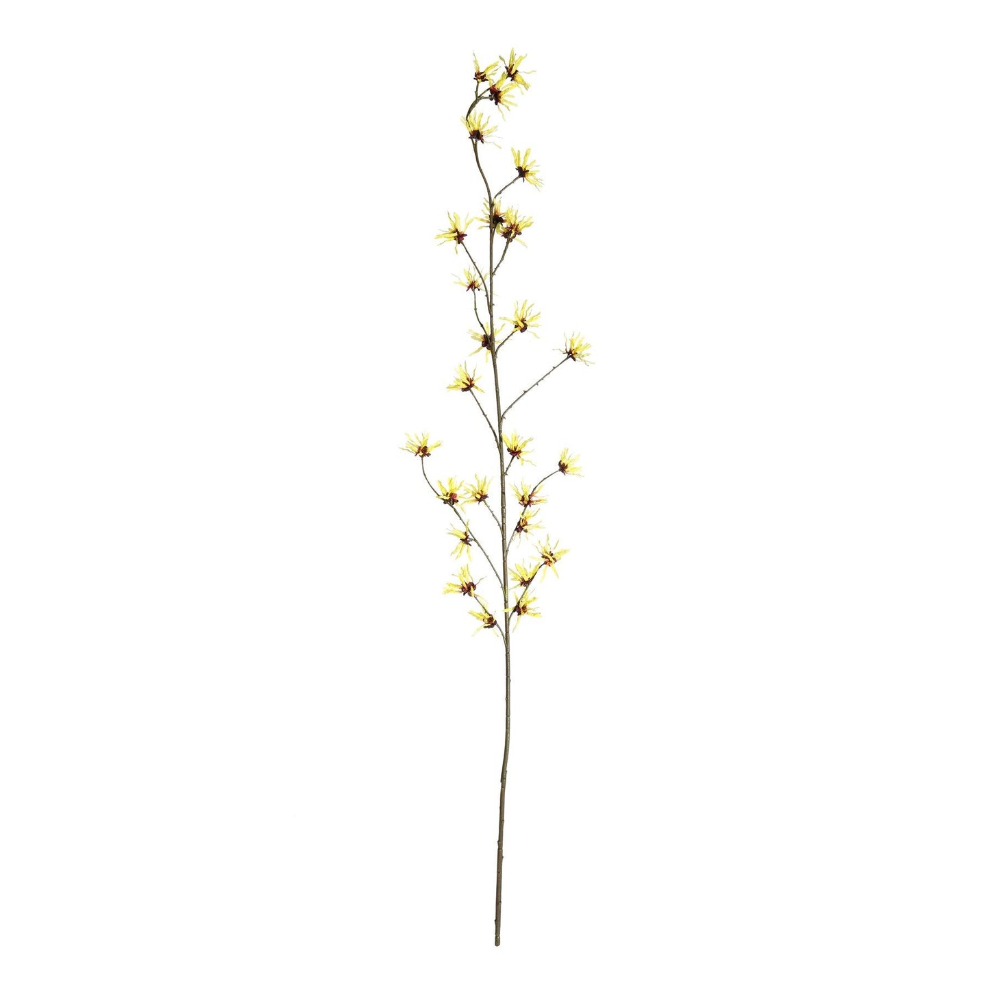 Botanica Yellow Hamamelis Branch (153cm)