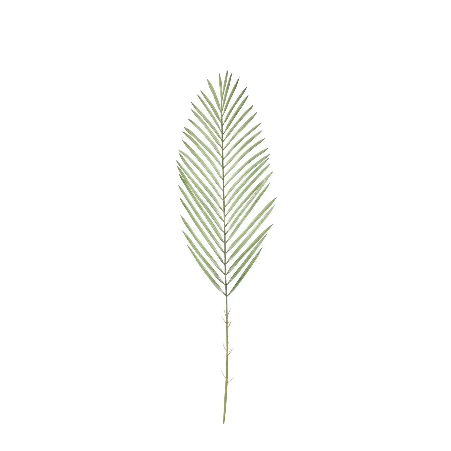 Green Botanica Areca Palm Frond (79cm)