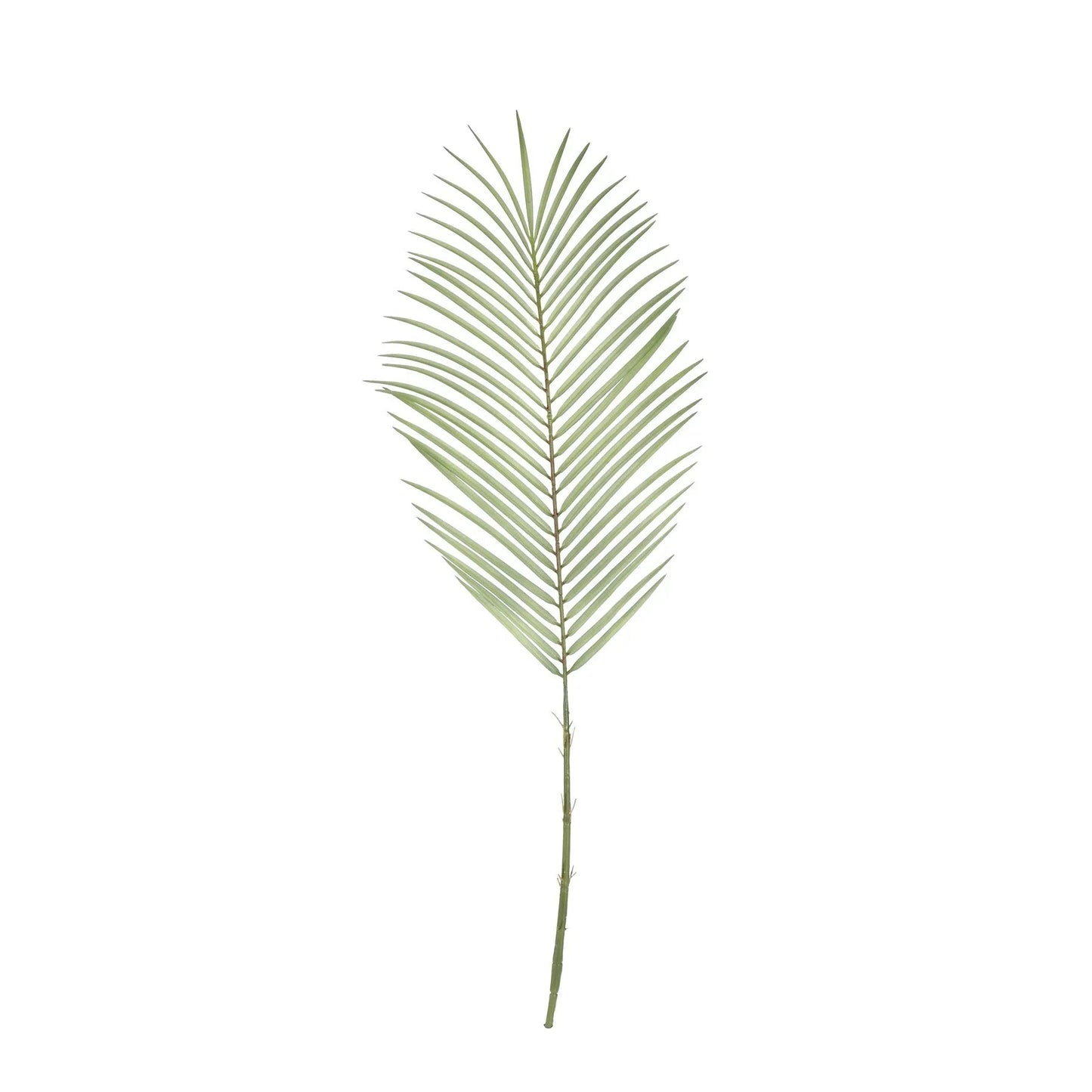Botanica Areca Palm Frond (74cm)