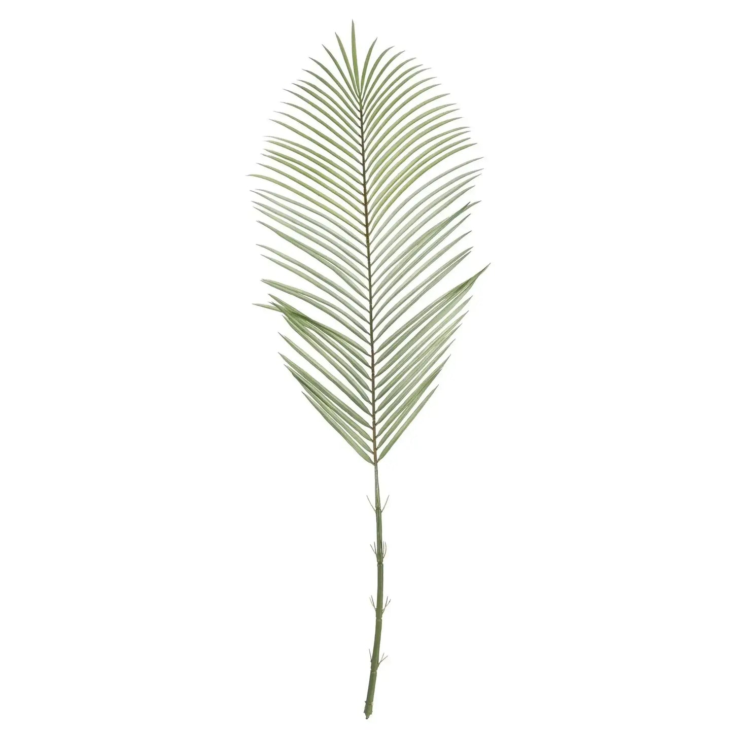 Green Areca Palm Frond (114cm)