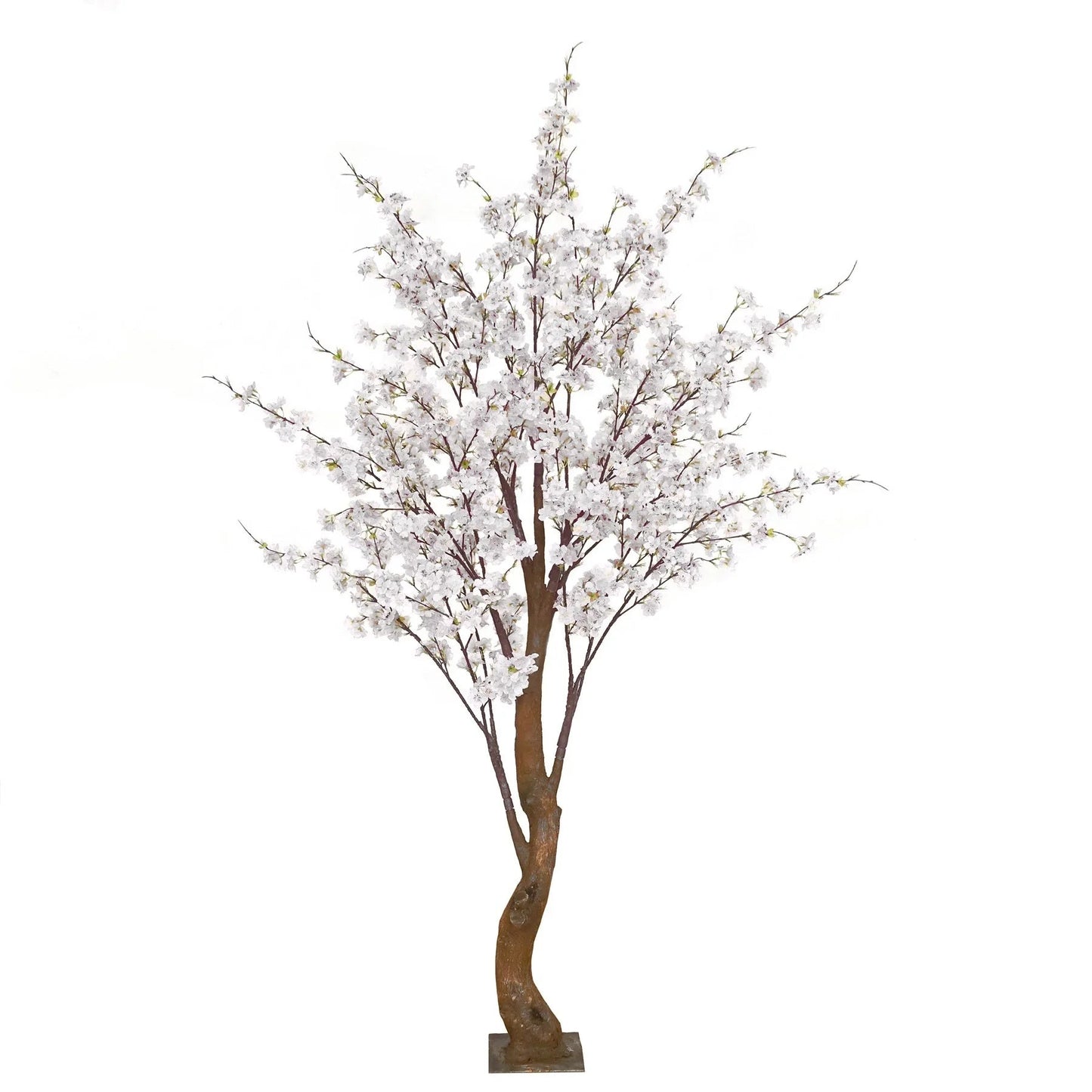 Discover the White Yoshino Blossom Tree (1.8m) at Bristow Direct