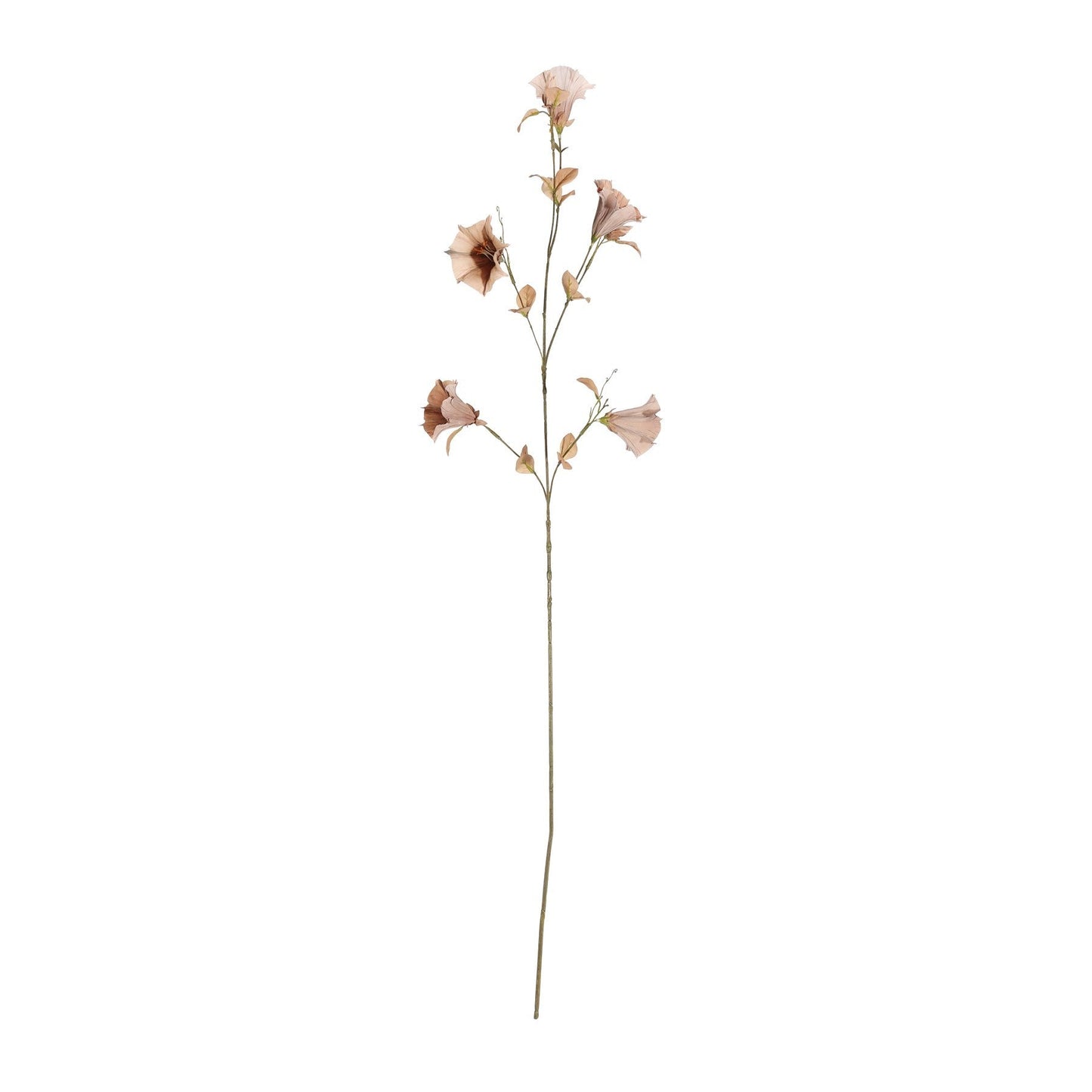 Botanica Brown Sundaville Spray (112cm)