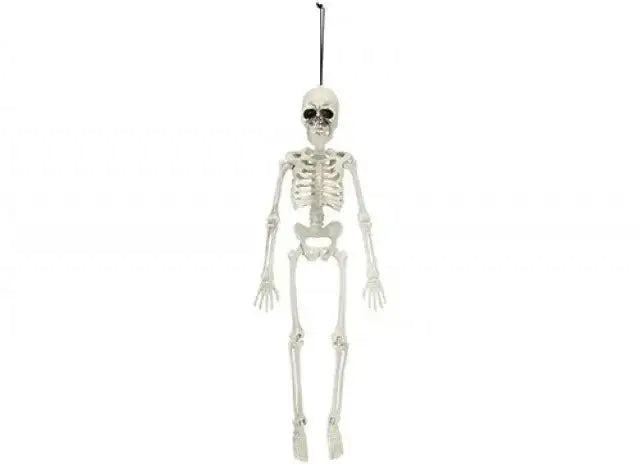 Hanging Skeleton Decoration (40cm)