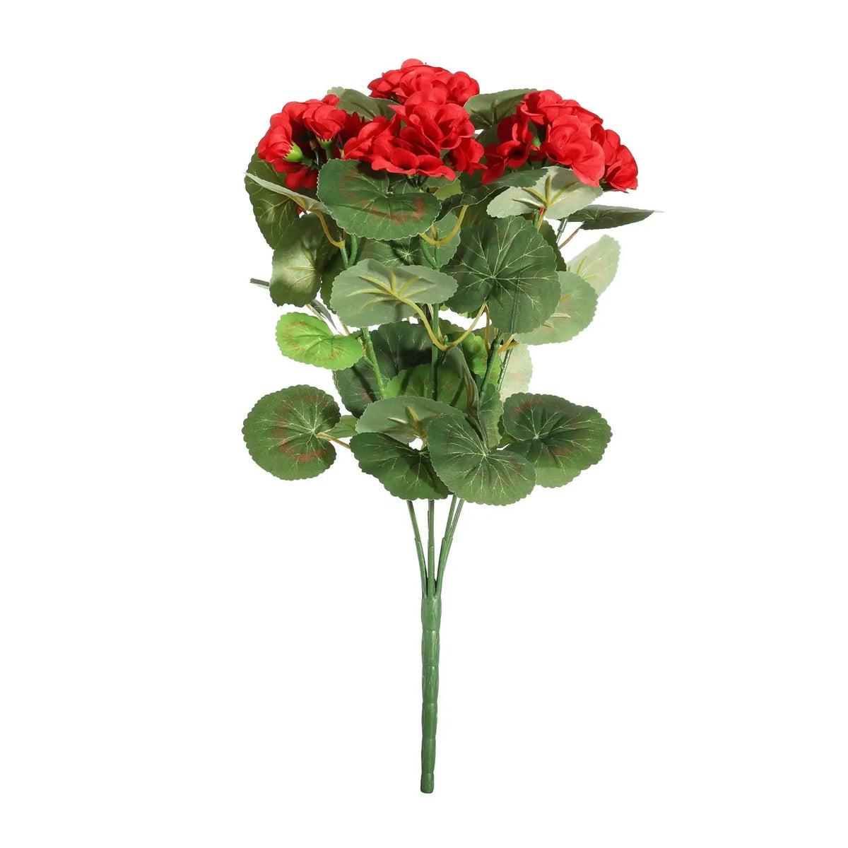 Essentials Red Geranium Bush - 7 Stems (40cm)