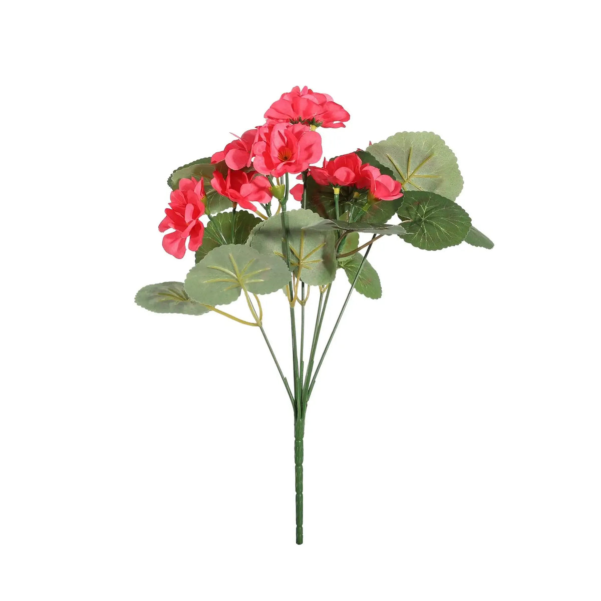 Essentials Dark Pink Geranium Bush - 7 Stems (30cm)