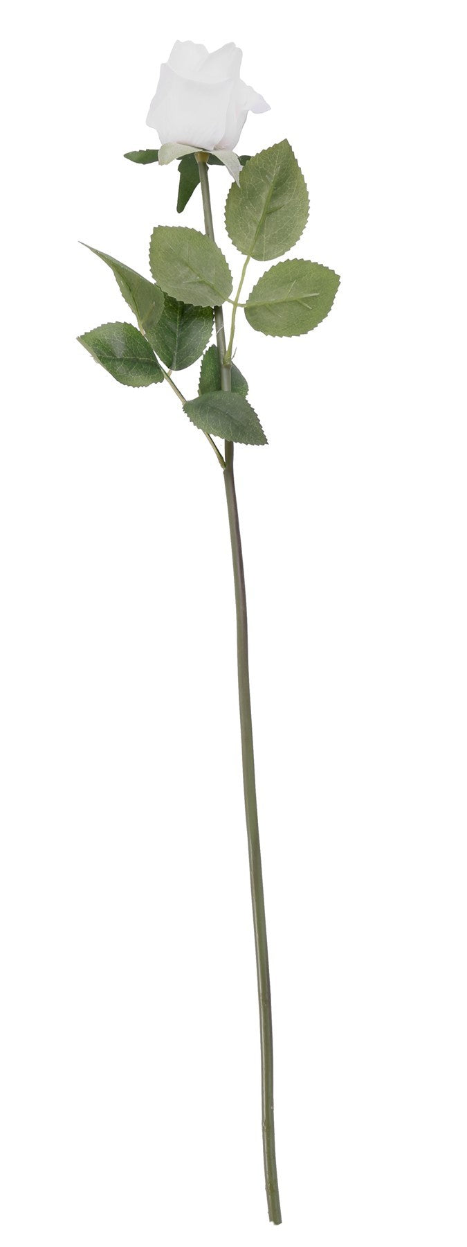 Discover the Essential White Arundel Rose Bud (55cm) at Bristow Direct