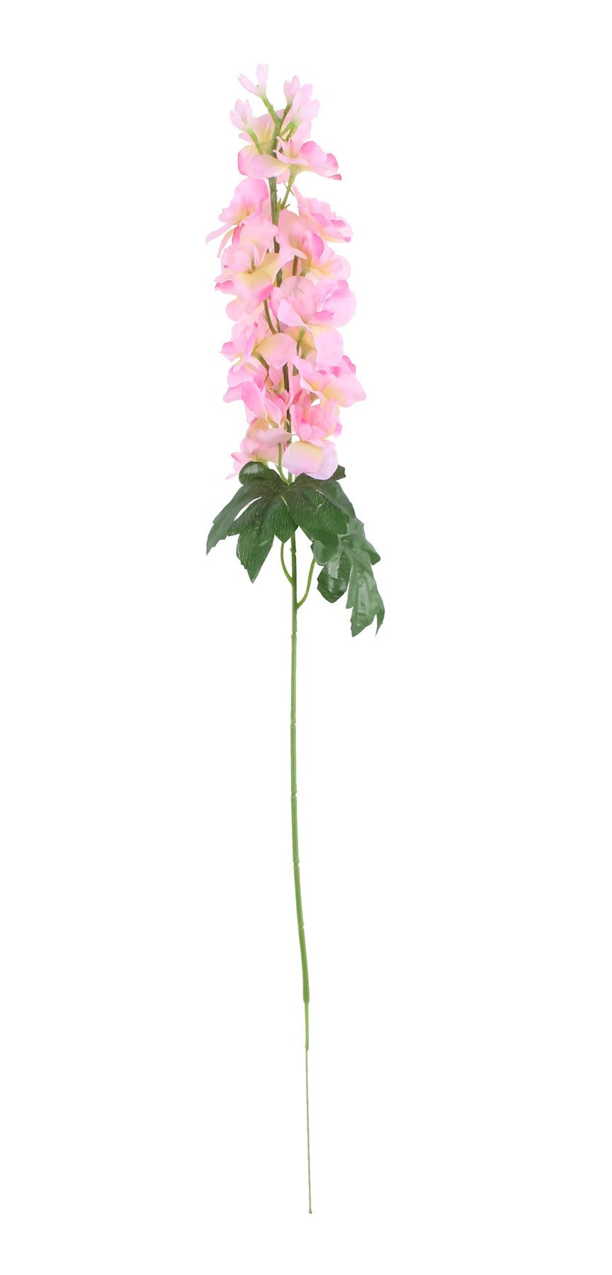 Discover the Essential Pink Arundel Garden Delphinium (77cm) at Bristow Direct