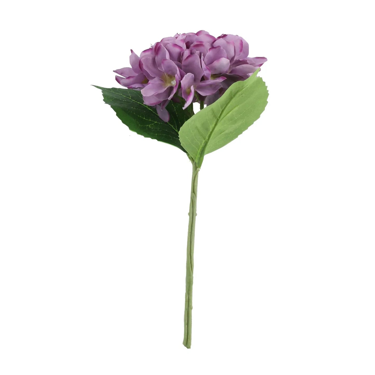 Discover the Purple Arundel Hydrangea (34cm) at Bristow Direct