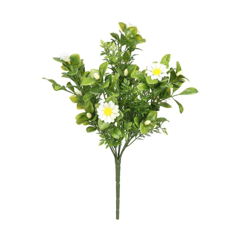 Exterior Everlast Daisy Plant U.V